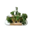 Mini Garden Wood Style Kit Hidropónico Ultra Compacto para Cultivo Interior, 7 Plantas con Nutriente y Semillas de Plantas